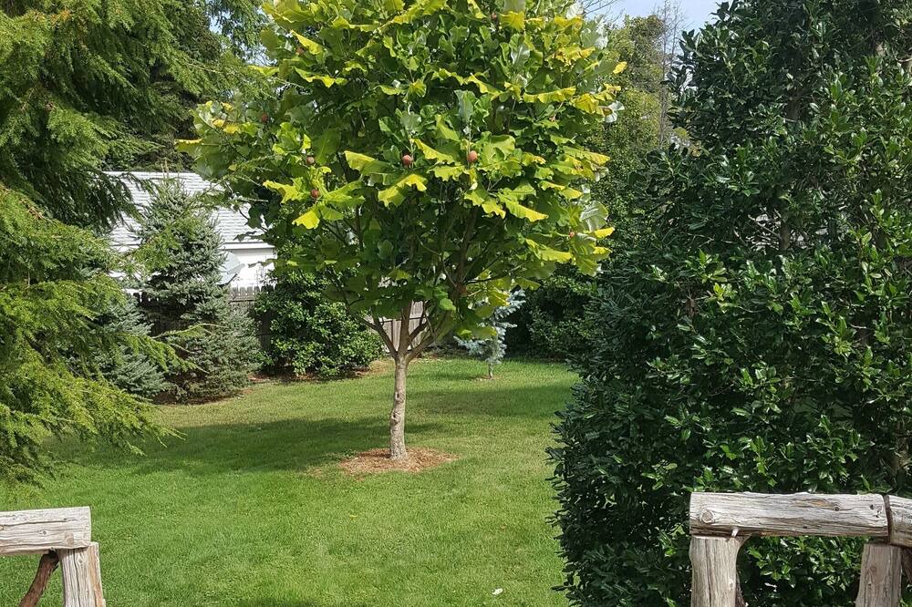 Photo of Outdoor in Firthcliffe