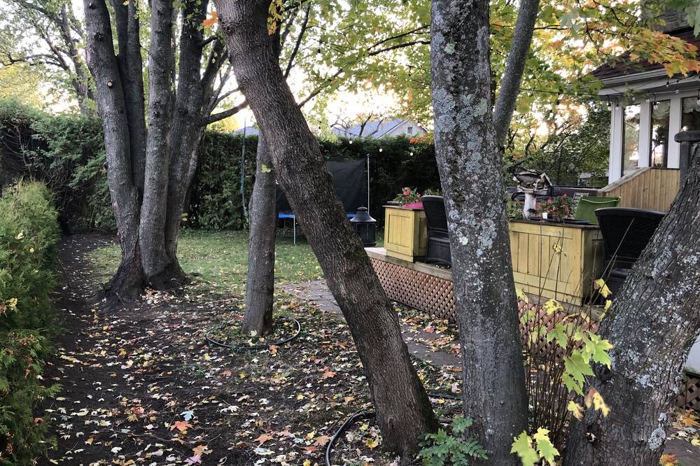 Photo of Outdoor in Magog