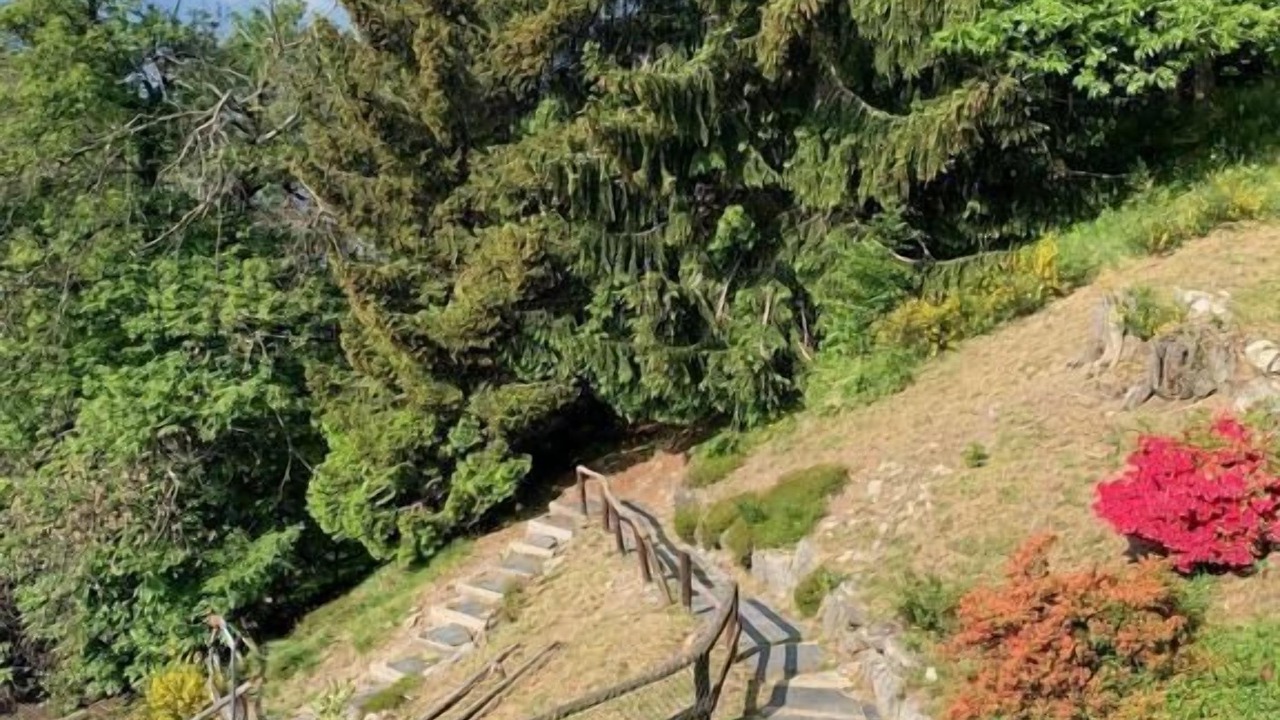 Photo of Outdoor in Locarno
