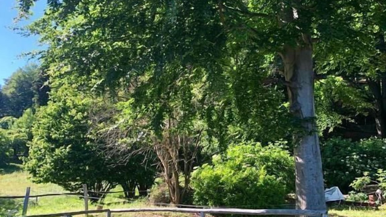 Photo of Outdoor in Locarno
