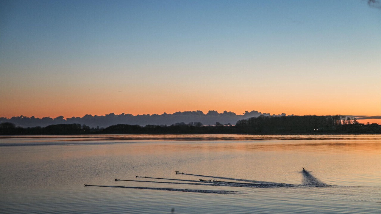 Photo of Others in Arø