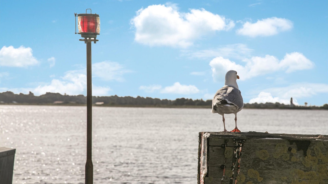 Photo of Others in Arø