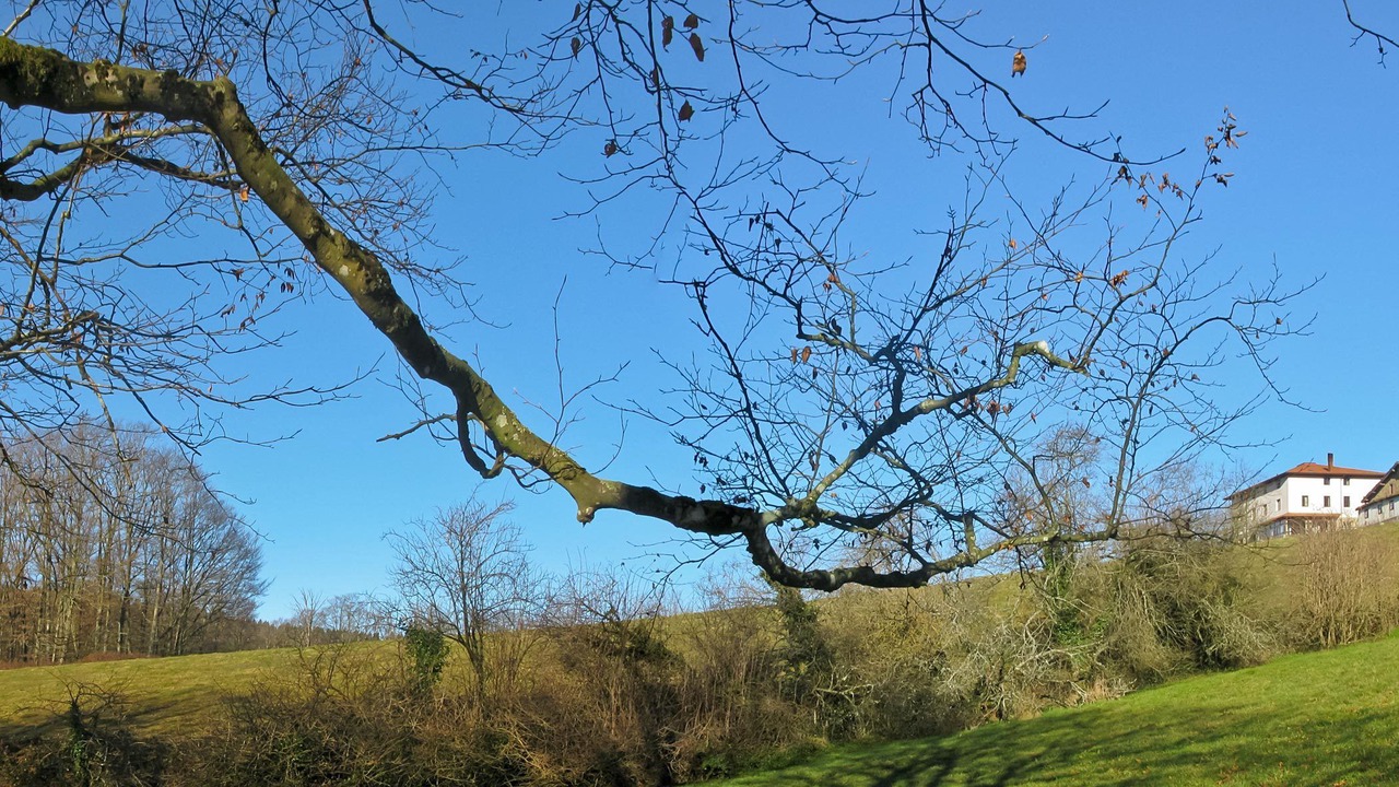 Photo of Outdoor in Urquiola