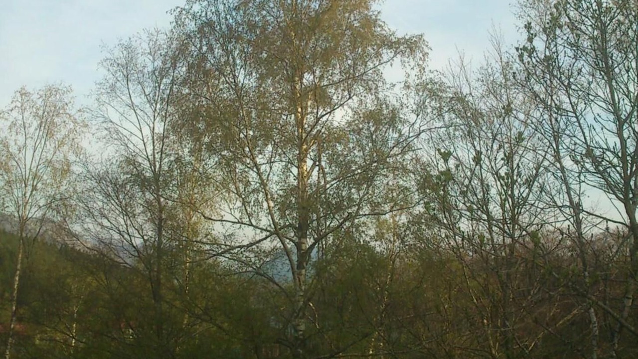 Photo of Outdoor in Urquiola