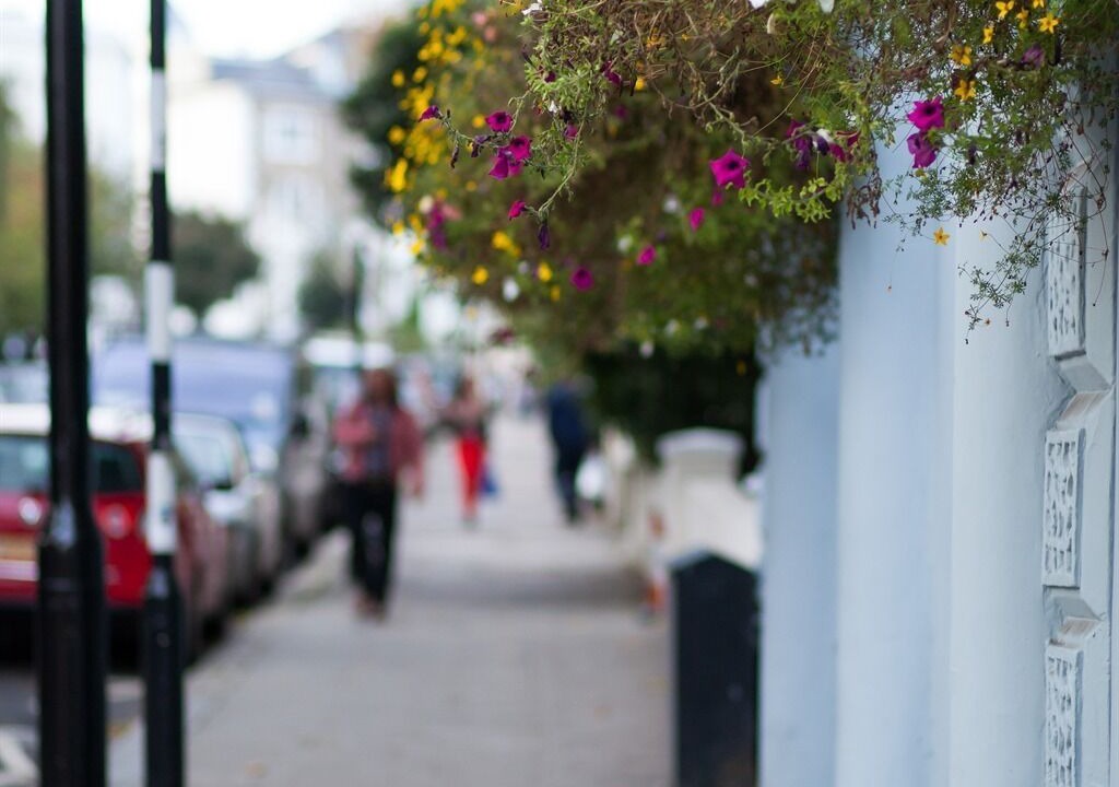 Photo of Others in Belsize