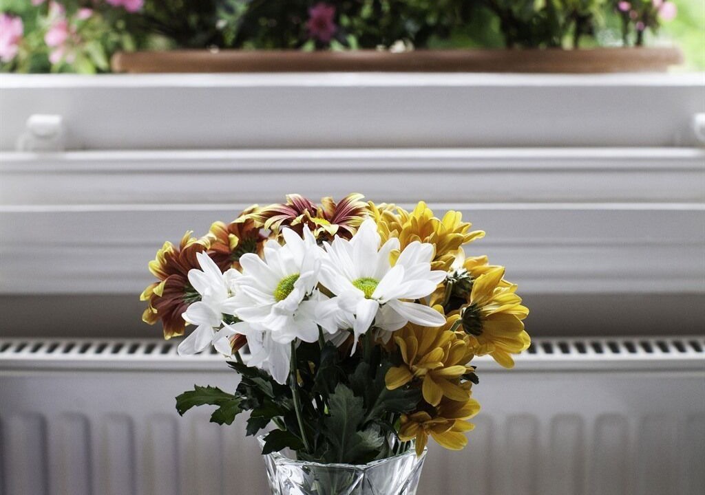 Photo of Others in Belsize