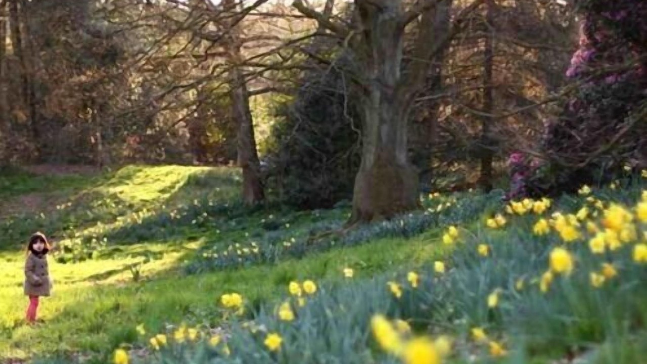 Photo of Others in Belsize