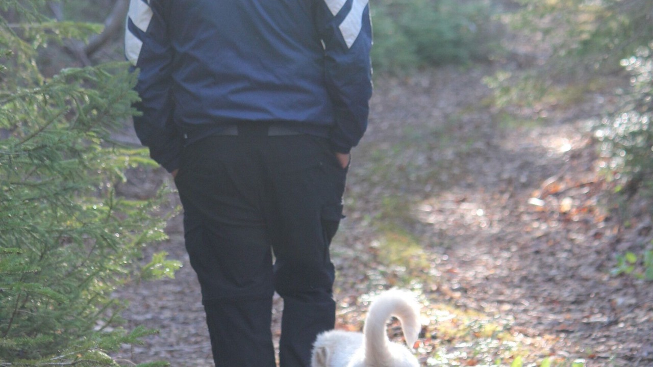 Photo of Others in Kildare Capes