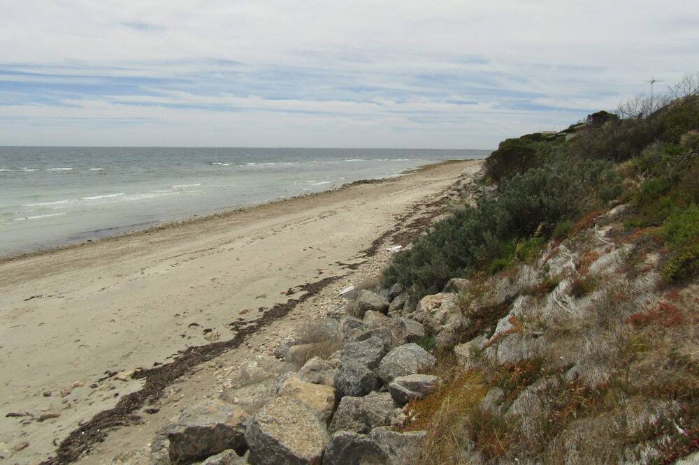 Photo of Others in Para Wurlie