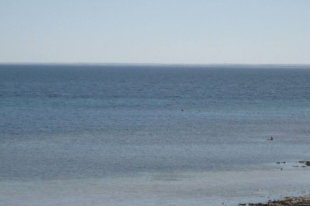 Photo of Others in Para Wurlie