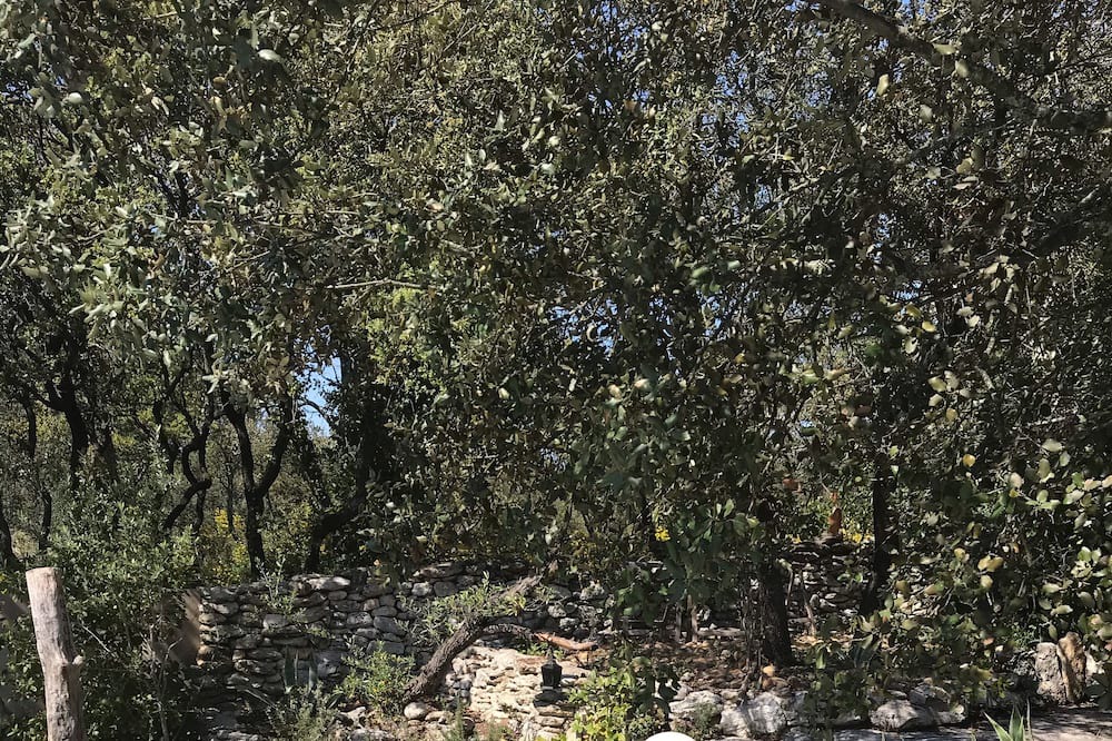 Photo of Outdoor in Restinclieres