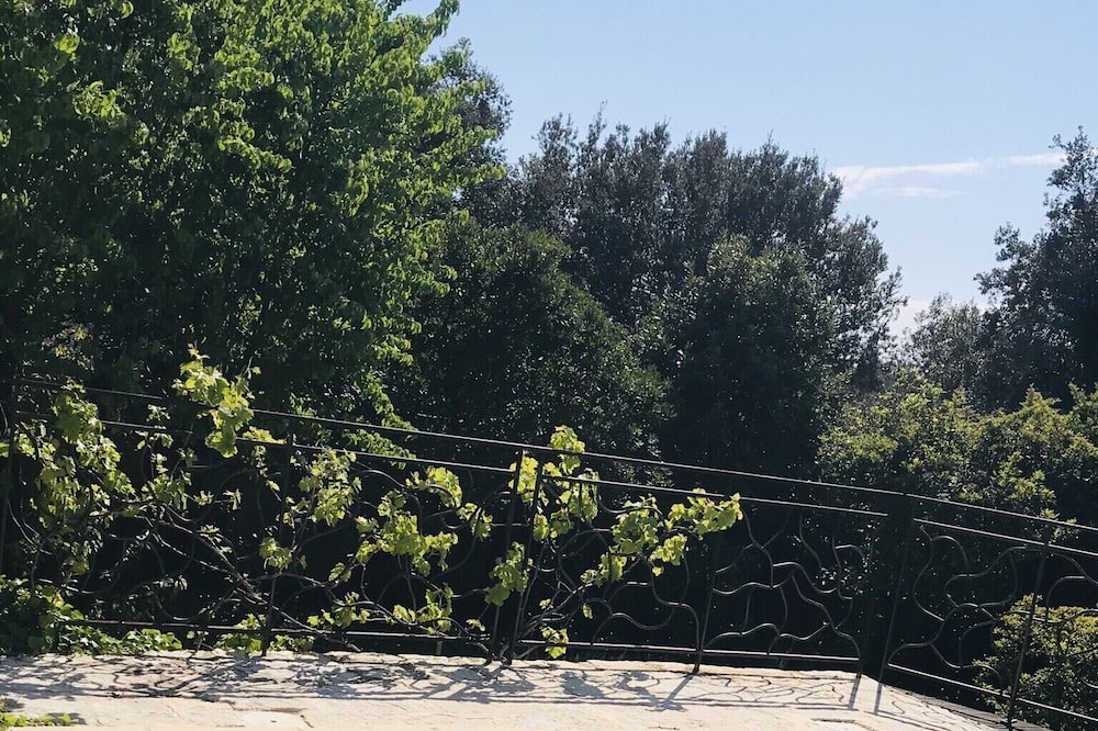 Photo of Outdoor in Restinclieres