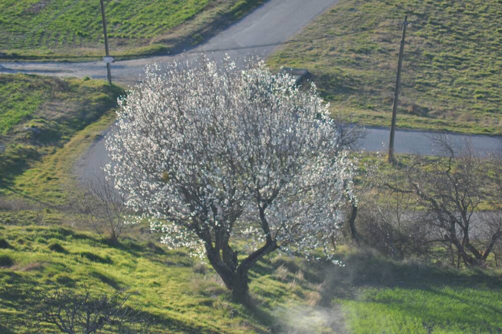 Photo of Outdoor in Lurs