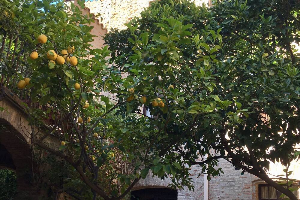 Photo of Outdoor in Torreilles