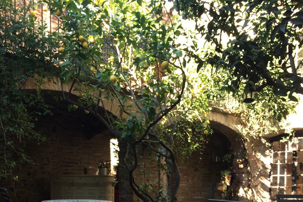 Photo of Others in Torreilles