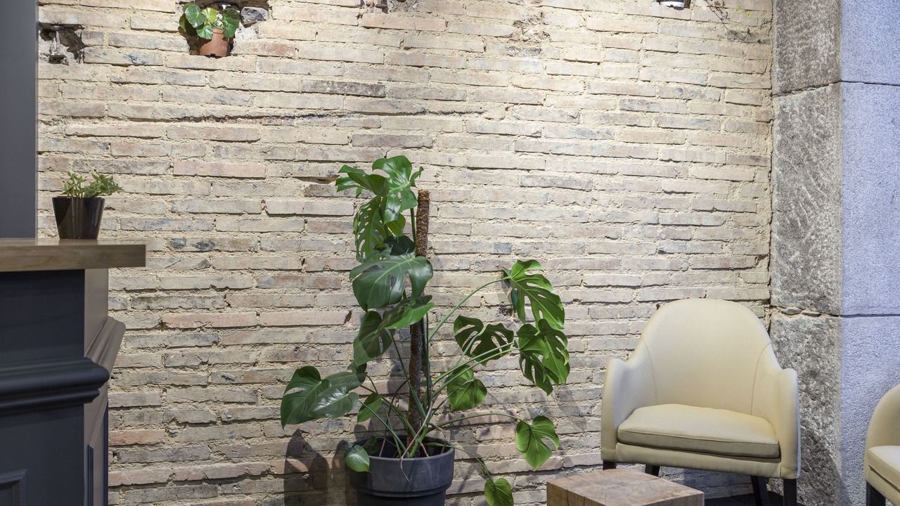 Photo of Others in Laval