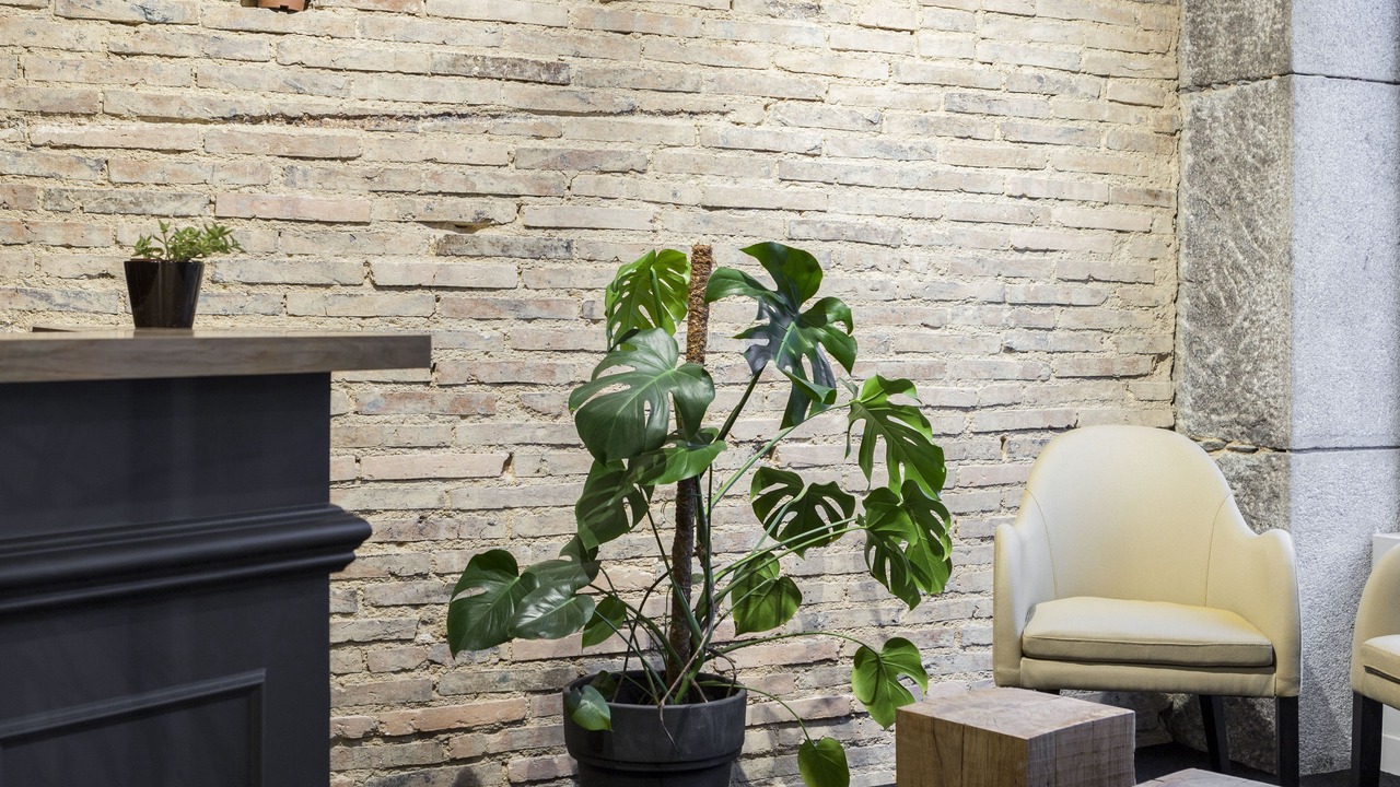 Photo of Others in Laval