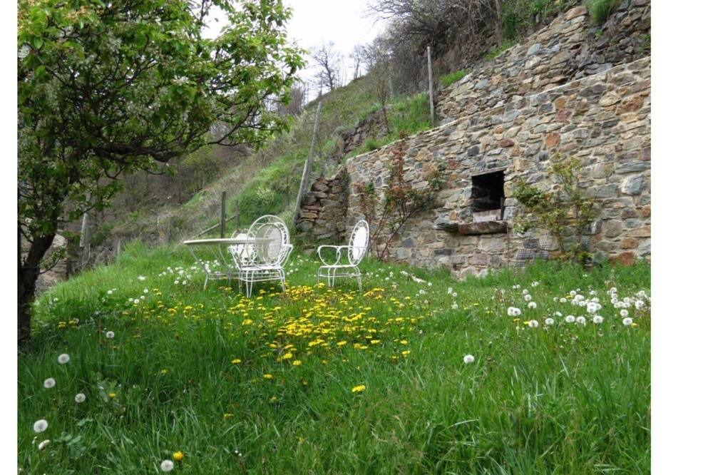 Photo of Outdoor in Fornells de la Muntanya