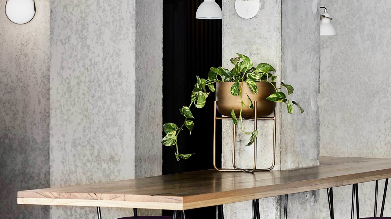 Photo of Others in Carlton South