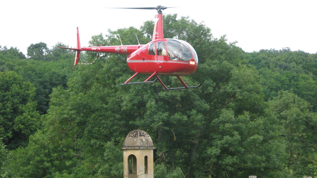 Photo of Others in Flee