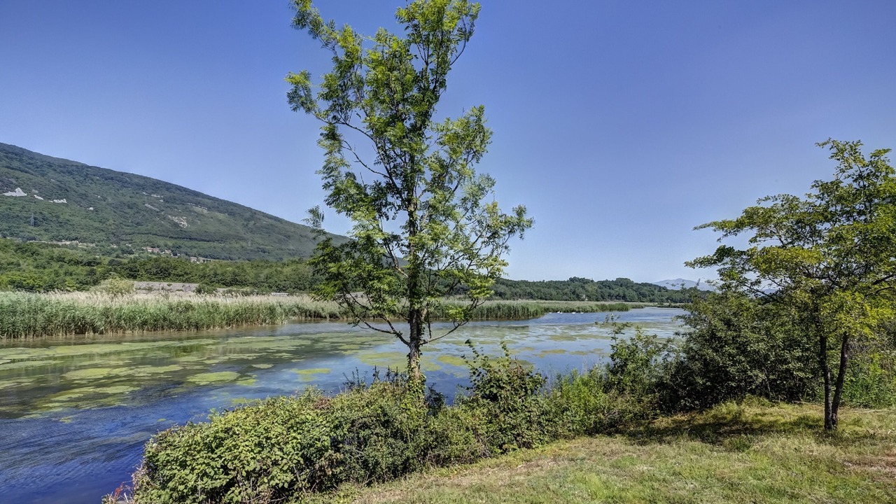 Photo of Outdoor in Motz