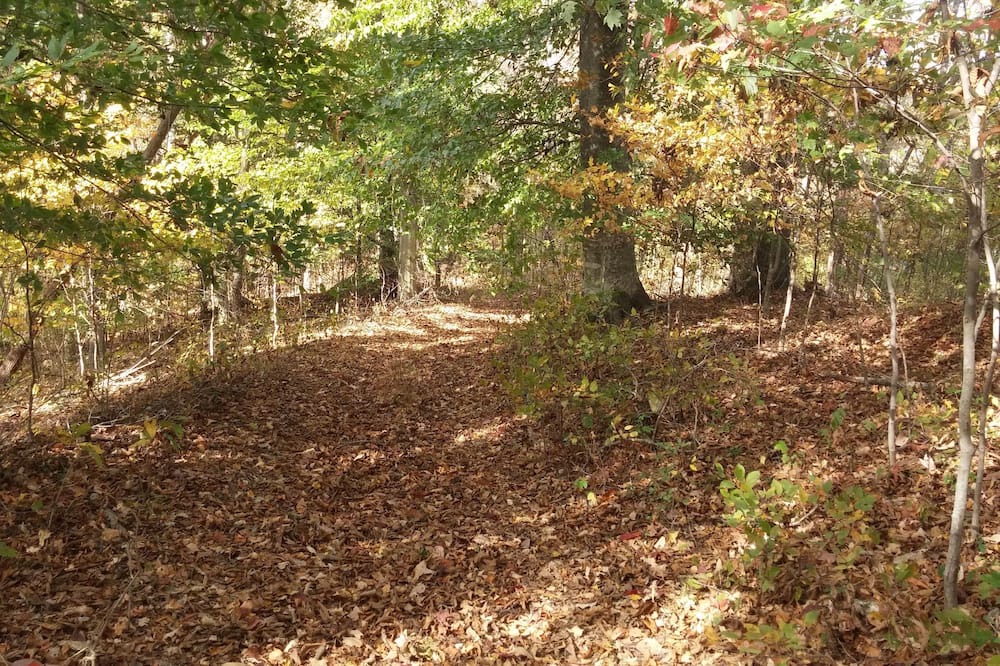 Photo of Others in Gainesboro