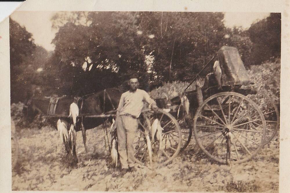 Photo of Others in Gainesboro