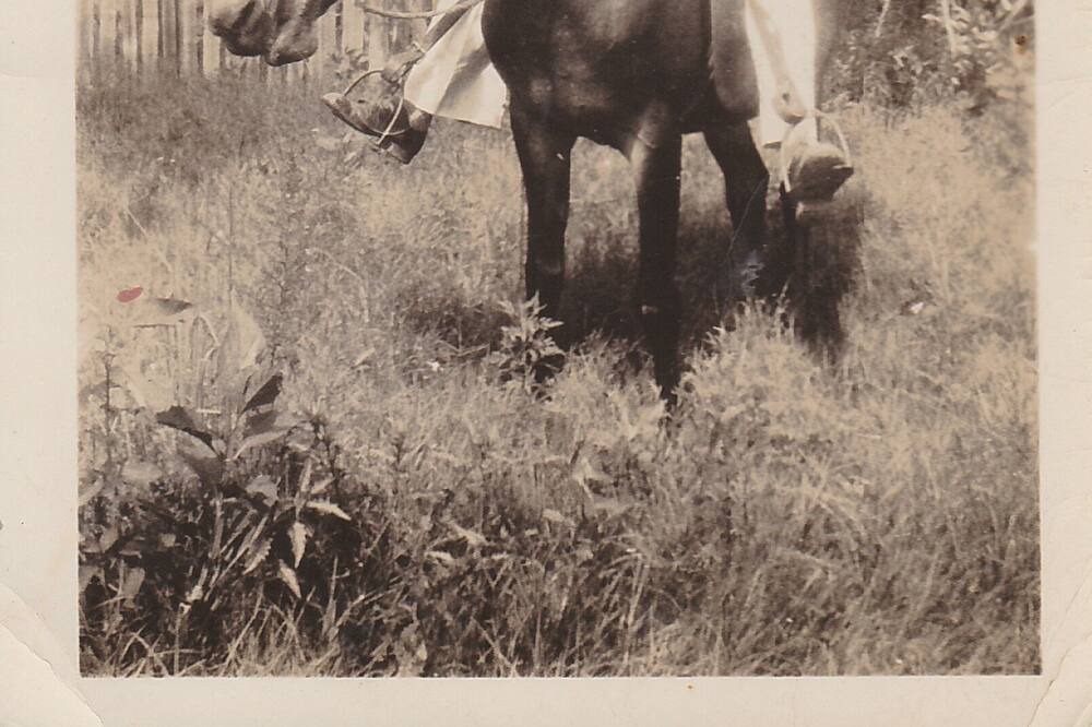 Photo of Others in Gainesboro