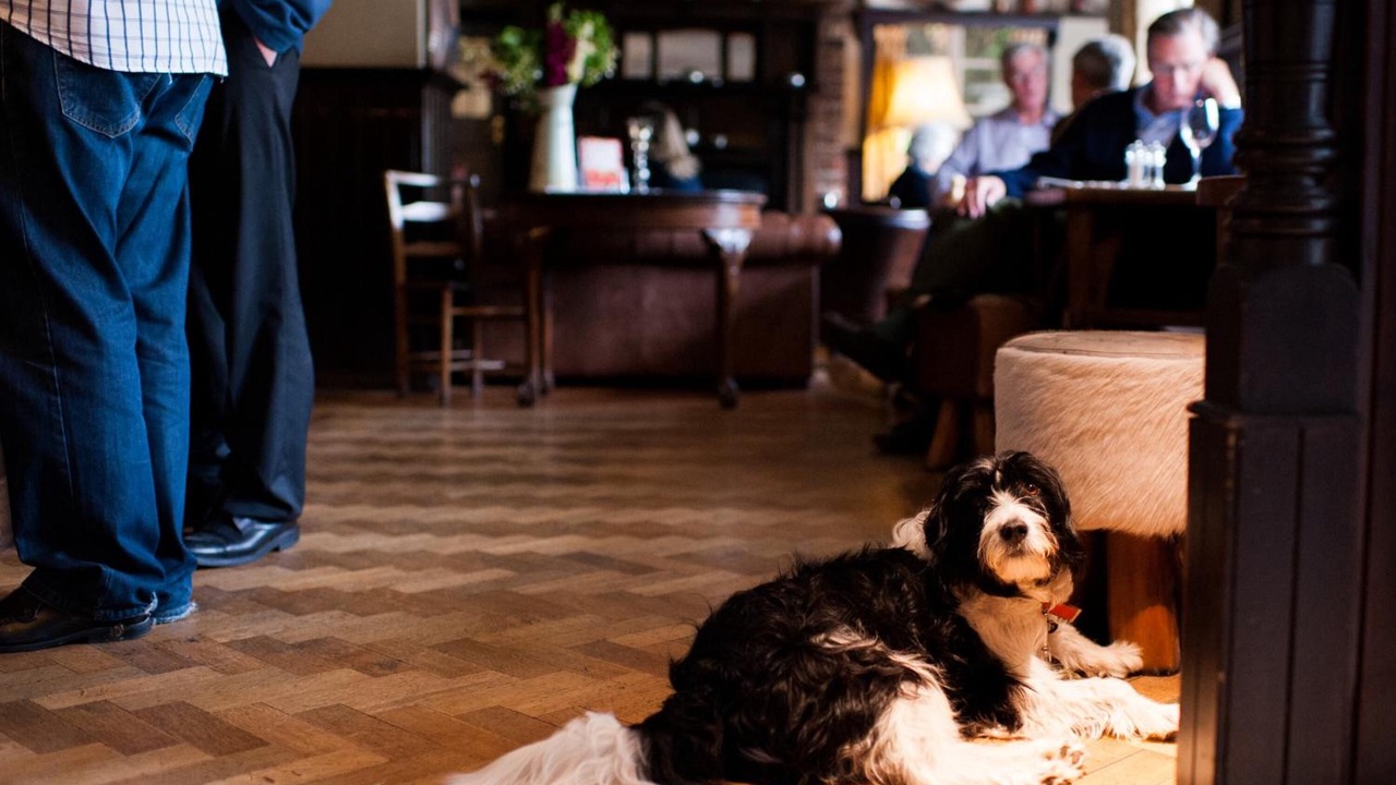 Photo of Others in West Meon