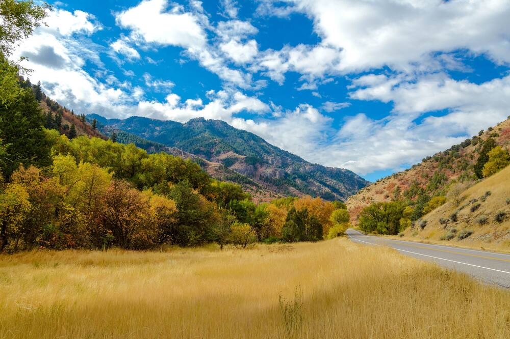 Photo of Others in St. Charles