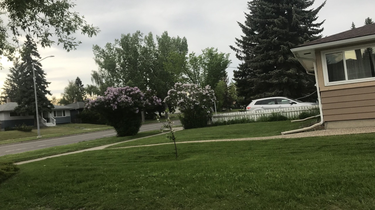 Photo of Outdoor in Haysboro