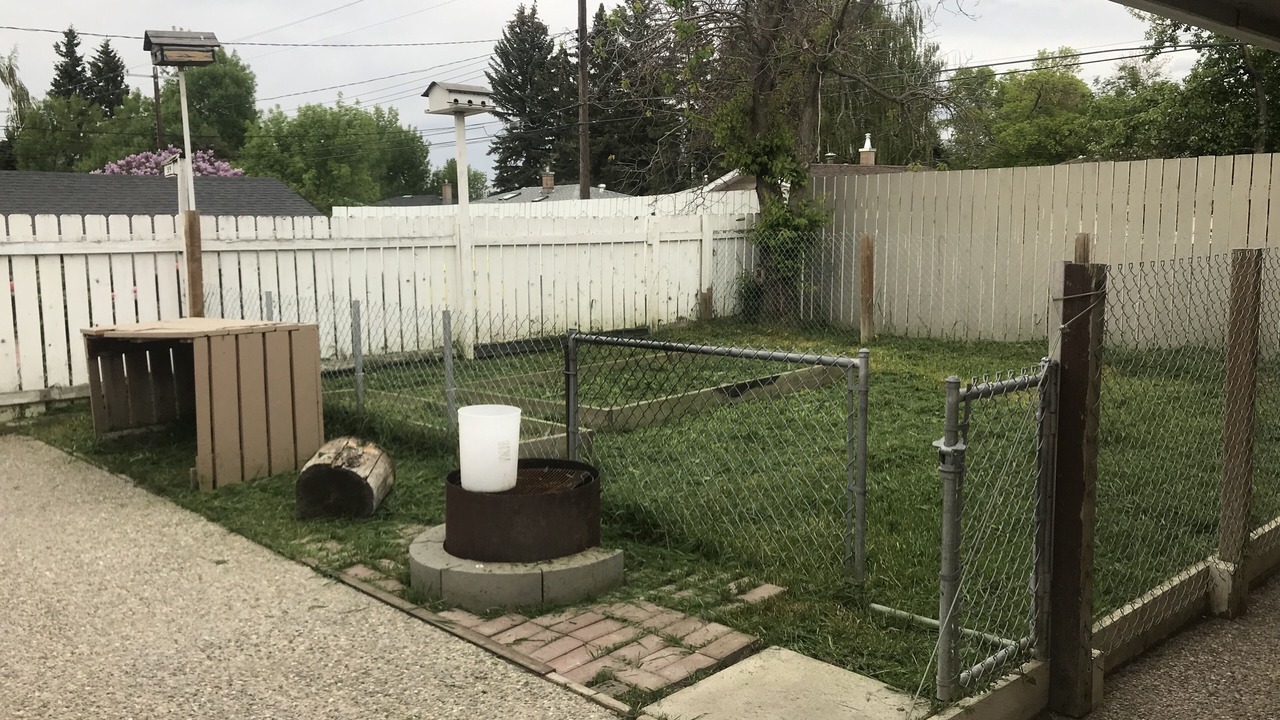 Photo of Outdoor in Haysboro