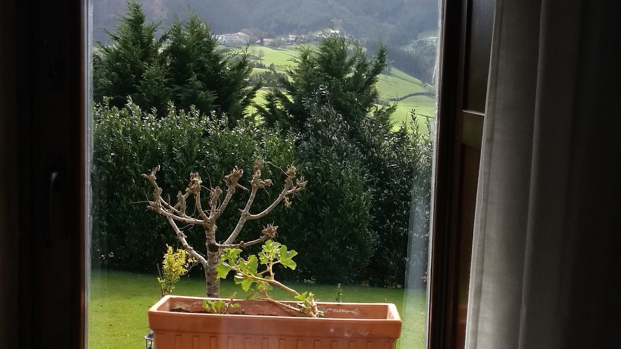 Photo of Bedroom in Zumaia