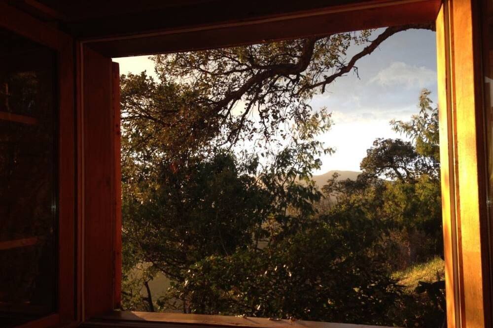 Photo of Patio Balcony in Santa Susanna