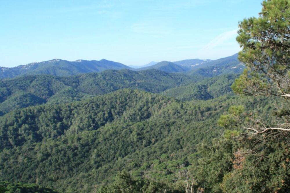 Photo of Others in Santa Susanna