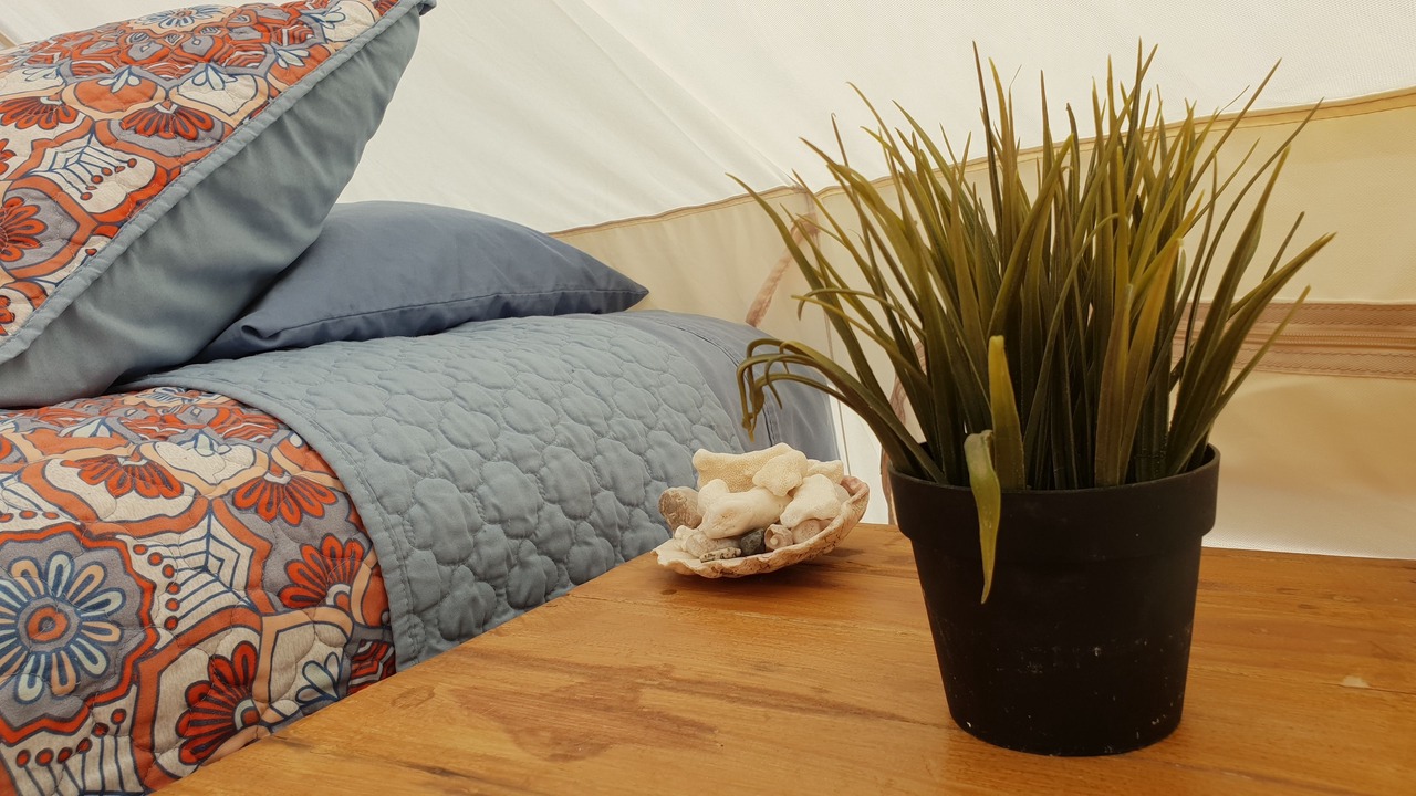 Photo of Livingroom in La Ventana