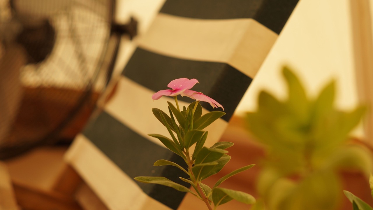 Photo of Others in La Ventana