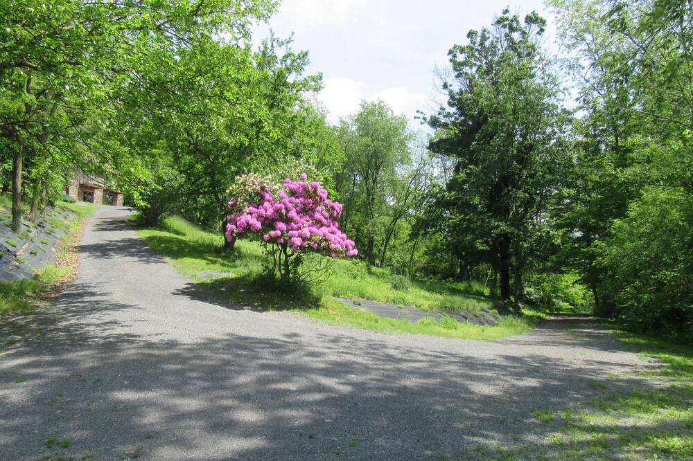 Photo of Outdoor in Spring Mills