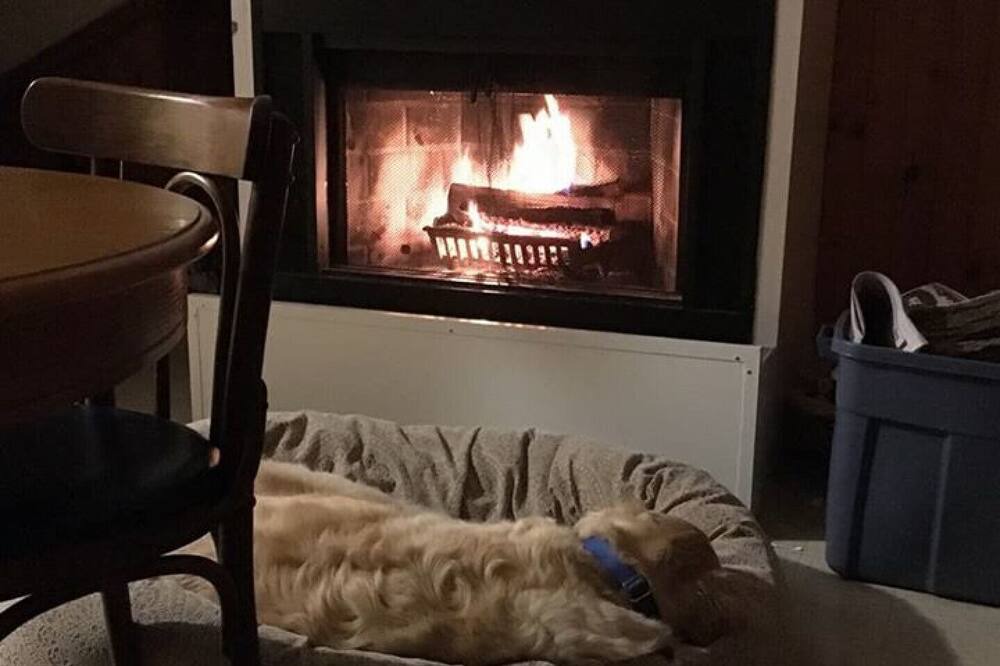 Photo of Others in Otonabee-South Monaghan