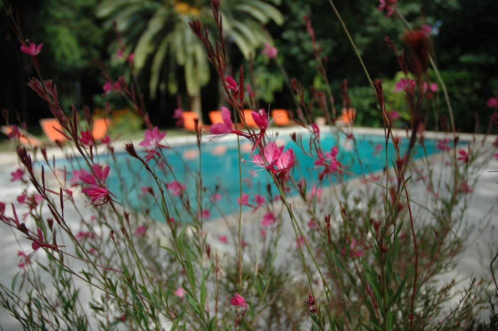 Photo of Outdoor in Mudaison