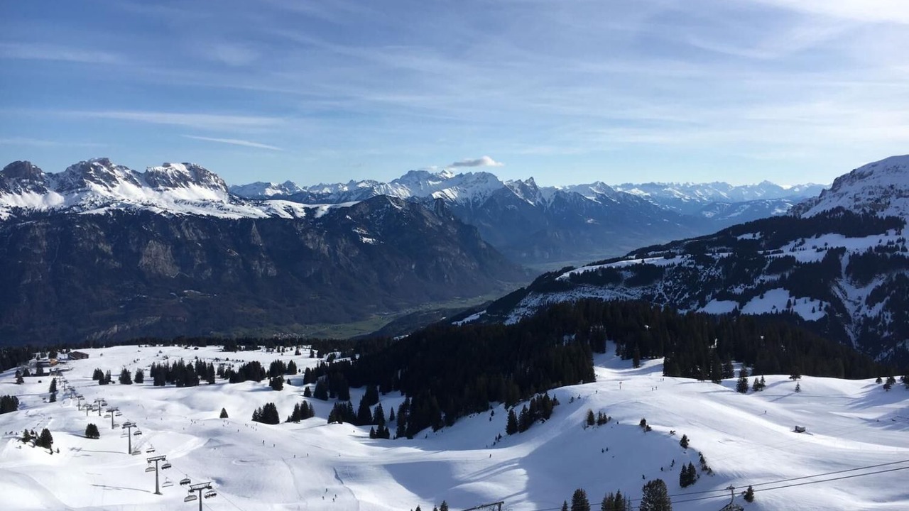 Photo of Others in Mols