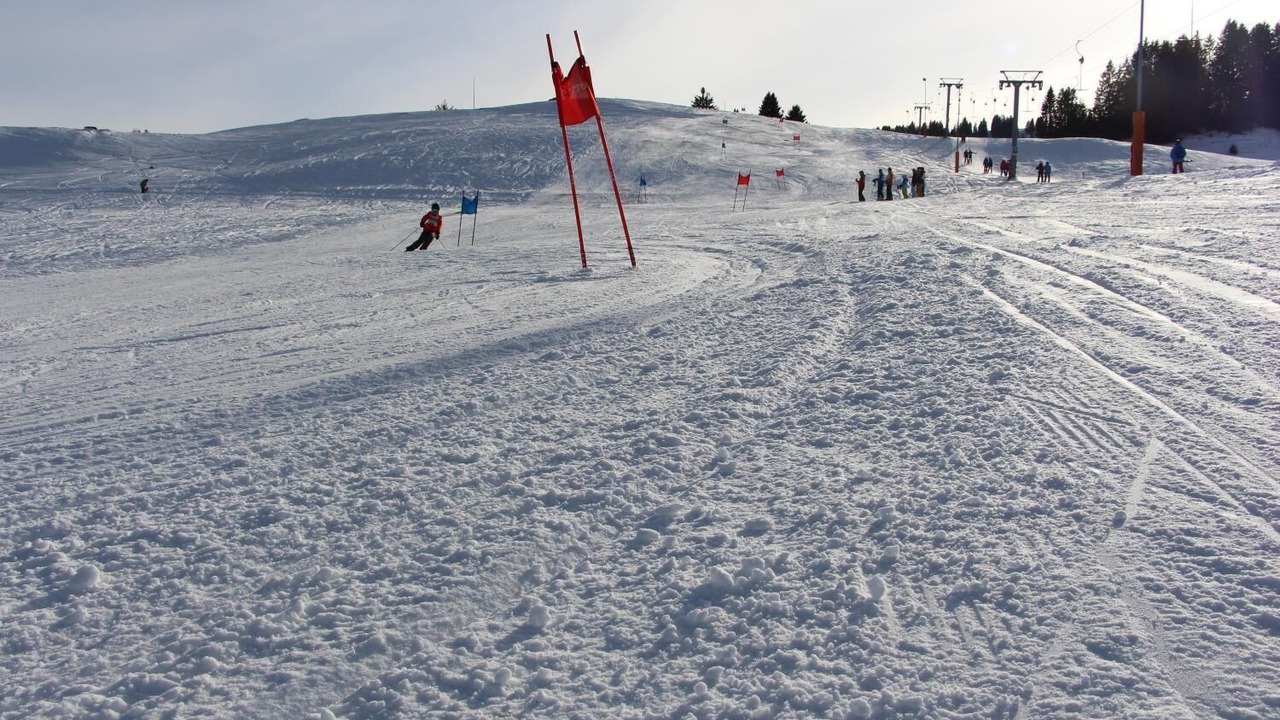 Photo of Others in Mols