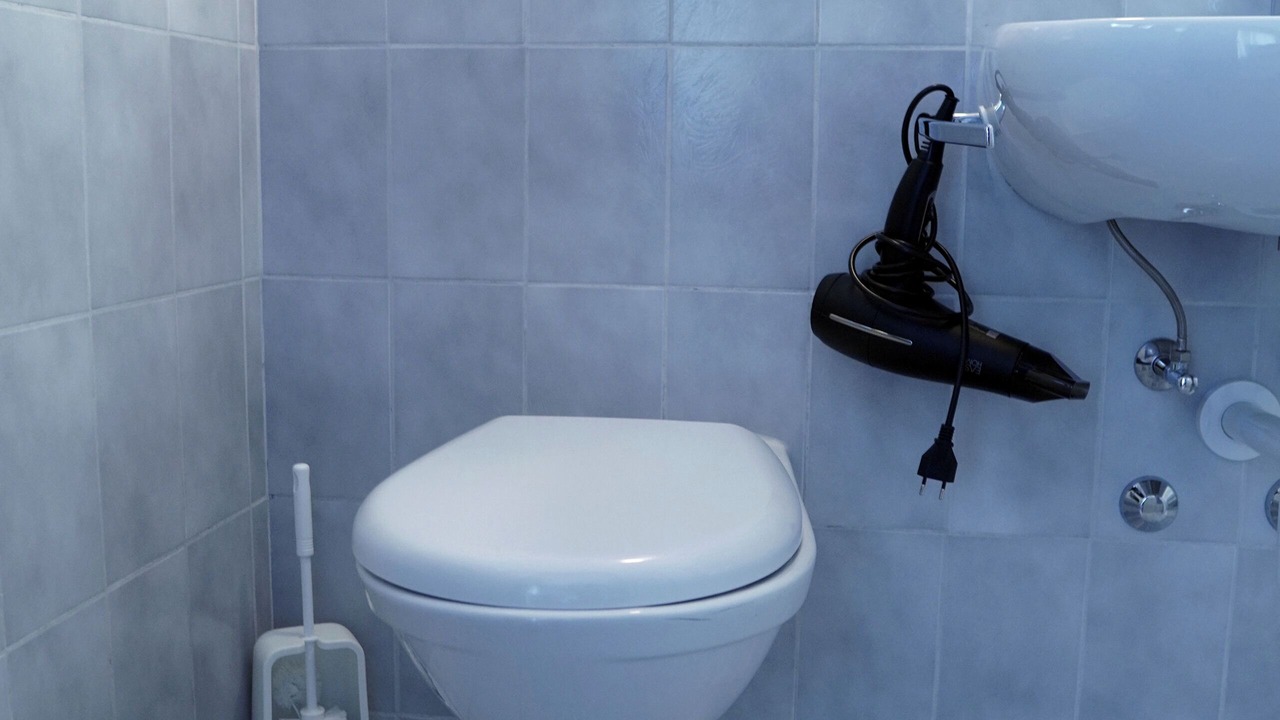 Photo of Others in Mols