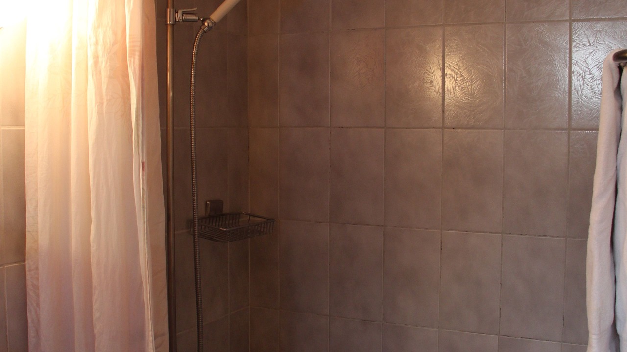 Photo of Others in Mols