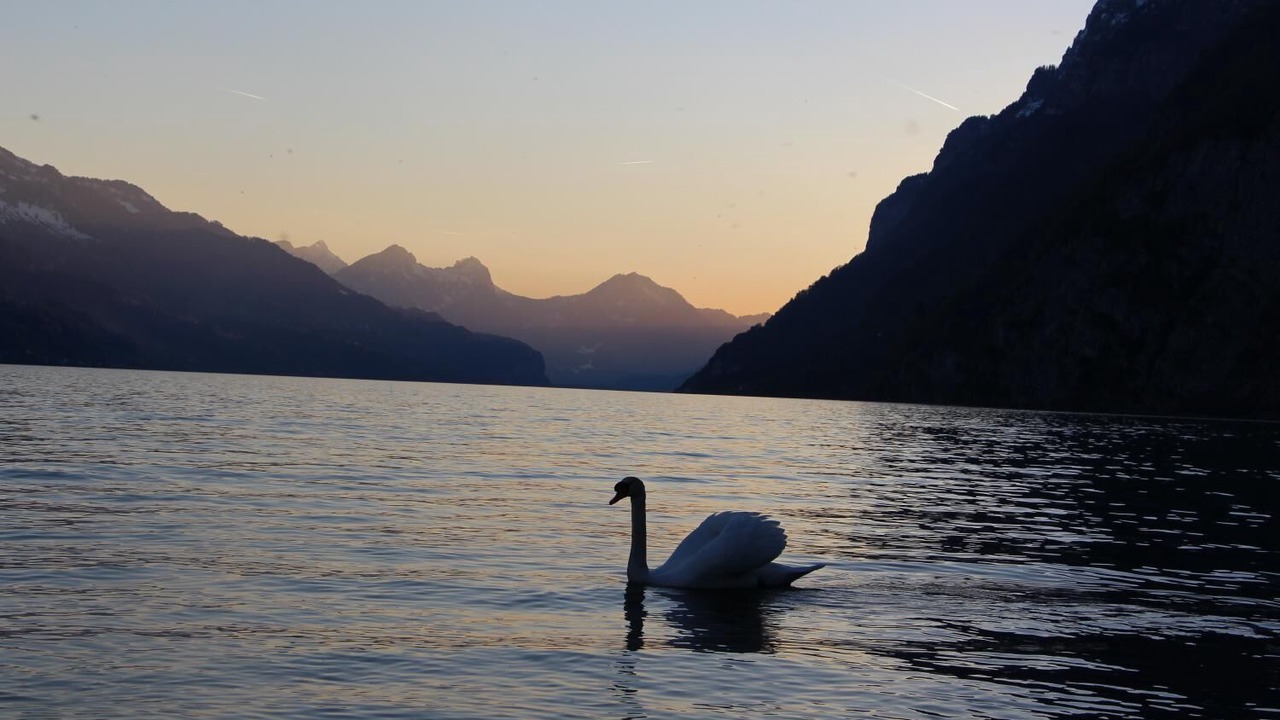 Photo of Others in Mols