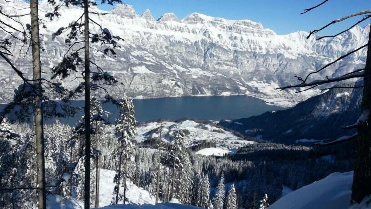 Photo of Others in Mols