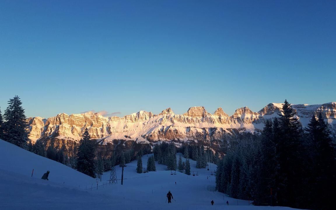 Photo of Others in Mols