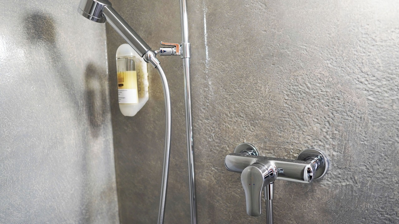 Photo of Others in Mols