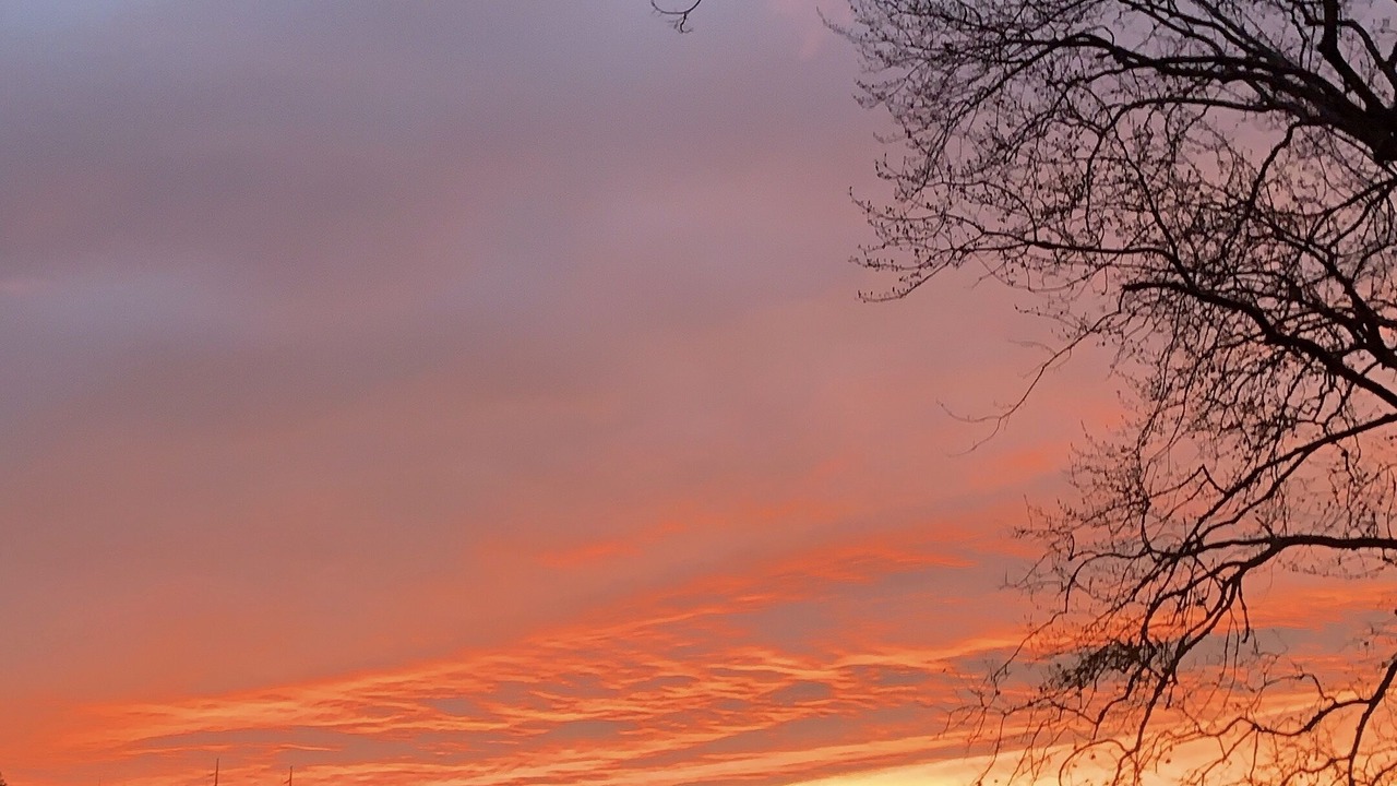 Photo of Outdoor in Portland