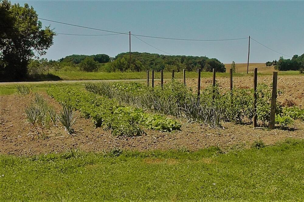 Photo of Outdoor in Agme